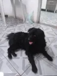 Nick