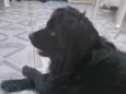 Nick