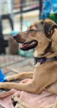 KIKO