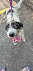 VICKY