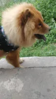 zecky