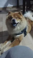 zecky