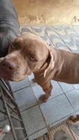 Romeo