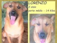 Lorenzo