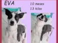 Eva
