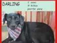 Darling