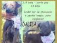 Dalila