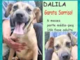 Dalila