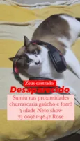 zeus