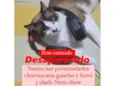 zeus