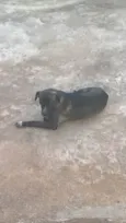 Fumaça 