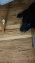Doc
