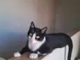 Nina 