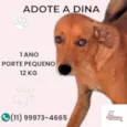 Dina