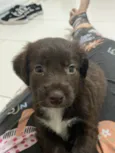 Astro