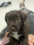 Astro