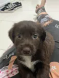 Astro