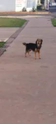 Paçoca