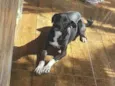 Lua