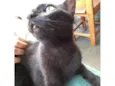 LULU