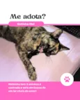 Melzinha