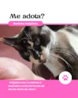 Felipinha