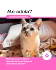 Menininha