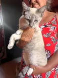 Menininha