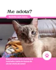 Sem nome por enquanto