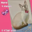 Marie