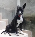 Lua