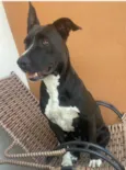Lua