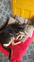 Tuca