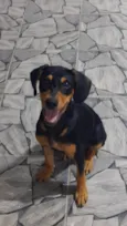ele não tem nome!