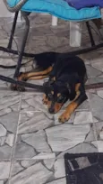 ele não tem nome!