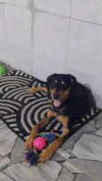 ele não tem nome!
