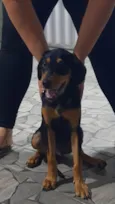 ele não tem nome!