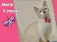 Marie