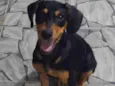 ele não tem nome!