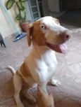 Paçoca