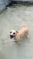 Tina