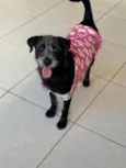 Graça