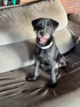 Graça