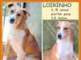 Loirinho
