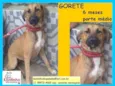 Gorete