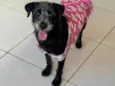 Graça
