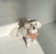 Gucci (Guti) 