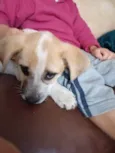 Mel