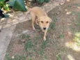 Kika