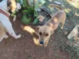 Kika